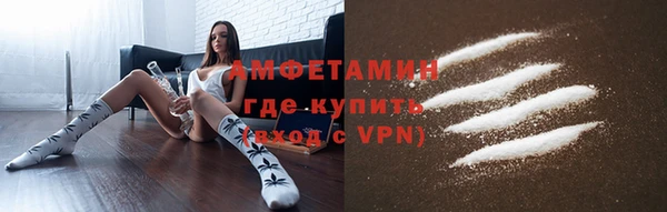 эйфоретик Гусь-Хрустальный
