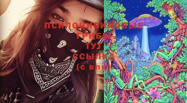 бошки Гусев