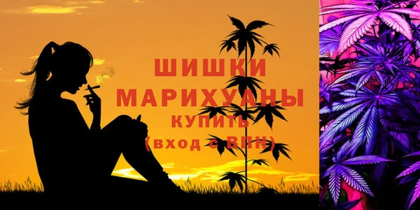 эйфоретик Гусь-Хрустальный