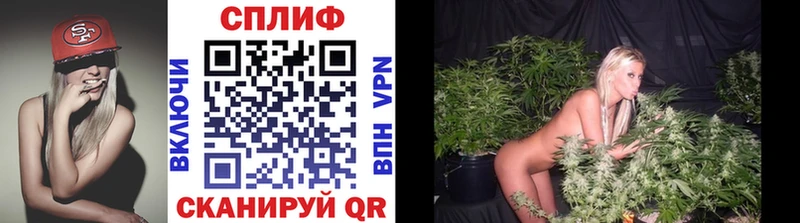 площадка наркотические препараты  Емва  Шишки марихуана VHQ 